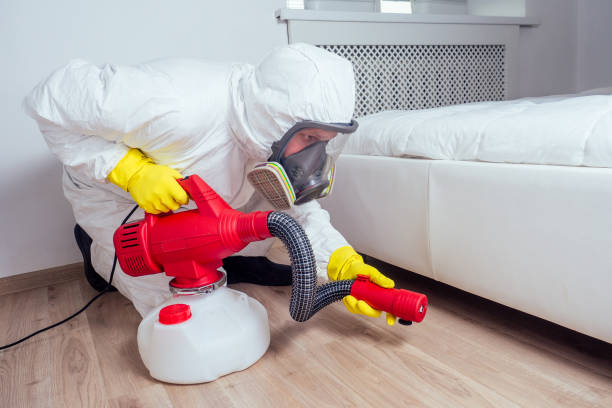 Professional Pest Control in Weston, MO